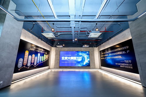 數(shù)聚玄武 探索跨境數(shù)據(jù)流動(dòng)的中國(guó)方案與大數(shù)據(jù)服務(wù)