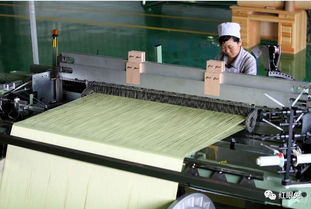 碳纖維布 預浸料 芳綸纖維編織布 熱塑纖維編織布等產品特點